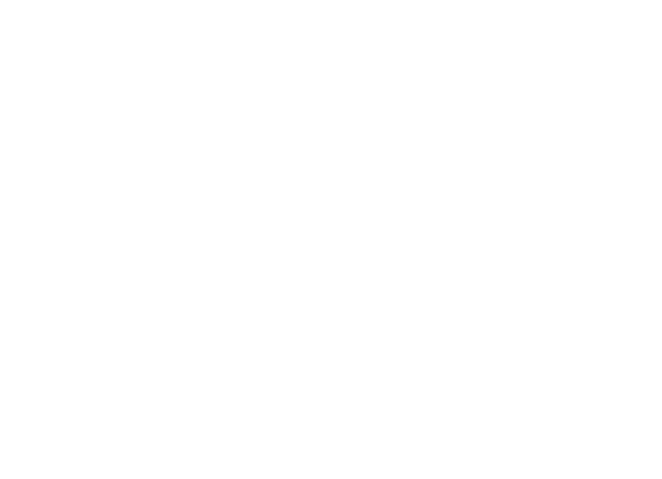 Logo_FlyFitAcademy_bianco